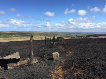The extensive and specialist fencing has been burned at Bartinney Downs Nature Reserve