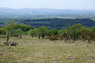 a view out onto the landscape from bodmin moor - cropped green grass in the foreground gives way to lush shrubs and a sea of dark greens and browns beyond before opening out to the patchwork of farmers fields and a hazy grey distant sky