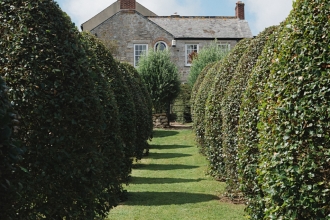 View of the house at Trenarth looking between rows of ornamental trees in the garden