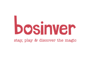 Bosinver Logo