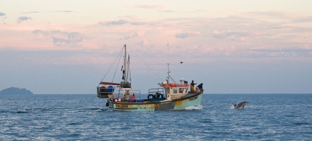Fishing boat and Bottlenose Dolphin - Adrian Langdon