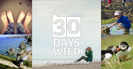 30 days Wild logo banner