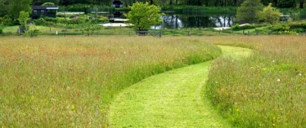 meandering_path_through_the_meadows_by_philip_hambly