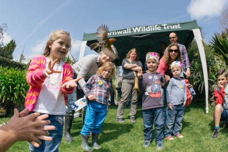 Celebrate Cornwall’s wildlife with the Trust