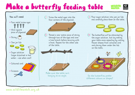 Make a butterfly feeding table