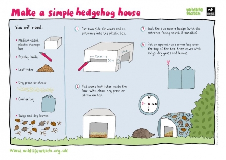 Make a simple hedgehog house