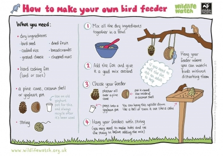 Wildlife Watch - How to make your own bird feeder activity sheet