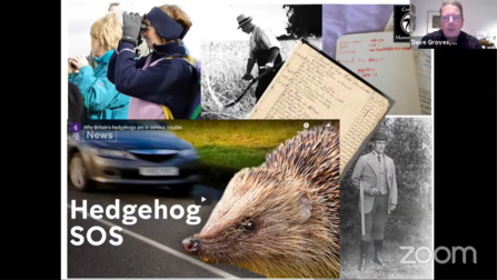 Hedgehogs are in serious trouble