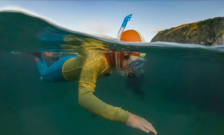 Young snorkeller underwater, Image by Lewis Jefferies