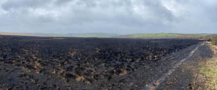 The aftermath of the fire at Rosenannon Downs Nature Reserve