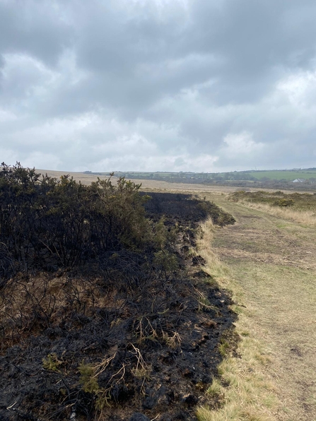The site's fire breaks helped to slow the spread of the fire