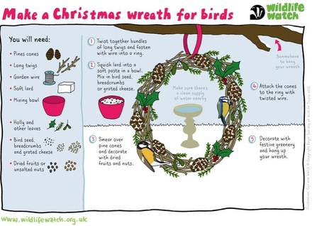 Christmas wreath for birds