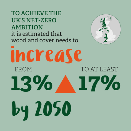 Graphic on green background reading: To achieve the UK's net-zero ambition it is estimated that woodland cover needs to increase from 13% to at least 17% by 2050