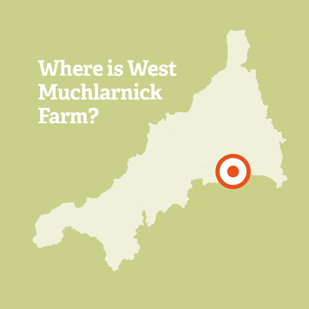 Where is West Muchlarnick Farm?