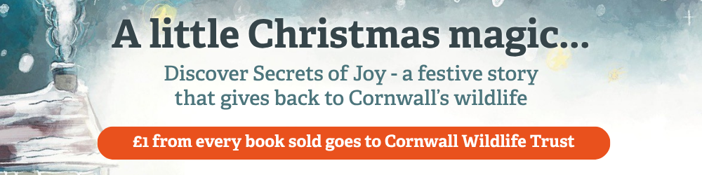 Secrets of Joy