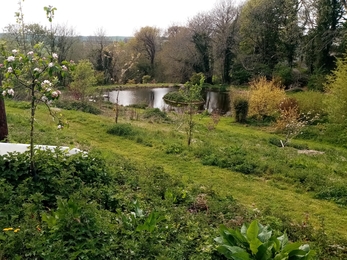 Ponds at South Bosent