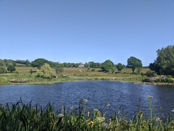 Views across the pond - Isabella Hawkes