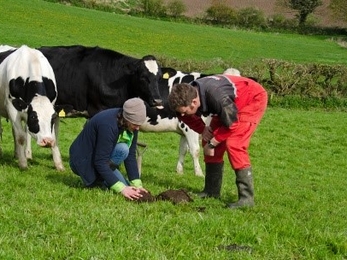 Farmer examining soil