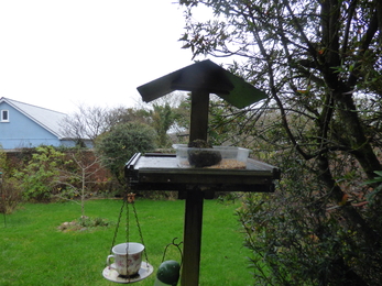 Bird table in garden