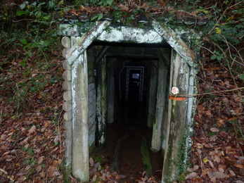 A little shed turned out to be the entrance to an adit