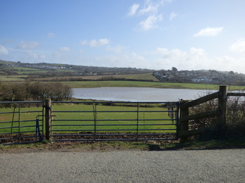 The view of Maer Lake from the layby across the road from the gate