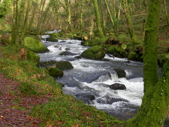 Golitha Falls County Geology Site