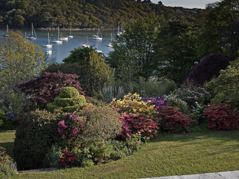 The view at Pedn Billy, which opens for Cornwall Wildlife Trust every year. Image by Nigel Bligh.