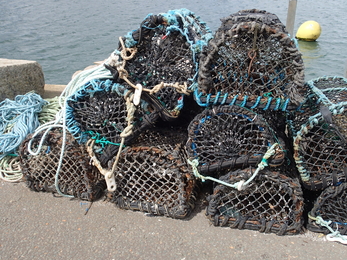 Lobster pots, Image by Cornwall Wildlife Trust's Marine Conservation Officer Matt Slater