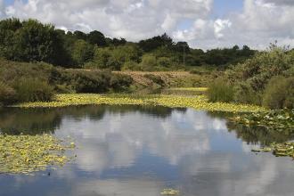 Bissoe Valley