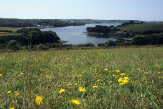 Churchtown Farm Nature Reserve