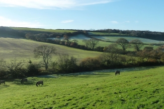 View of part of Woodland Valley Farm looking south