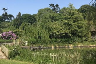 patio_pond_and_specimen_trees_at_little_park_farm_by_chris_betty