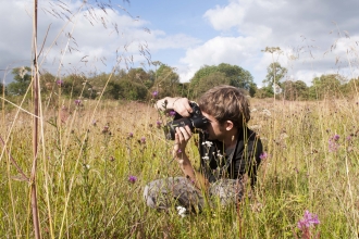 Capturing wild plants and flowers by Katrina Martin 