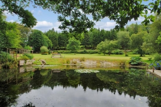 reflective lake displays lush green foliage and blue skies