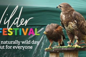 Wilder Festival banner