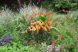 Rainbow colour at South Bosent