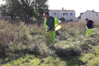 Cormac staff using scythes for the first time. Photo by Stuart Coleman