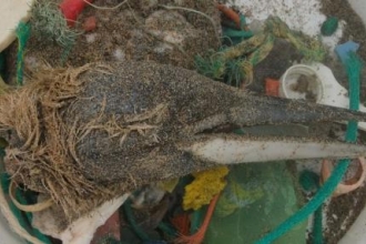 Dangerous trash turned into treasure
