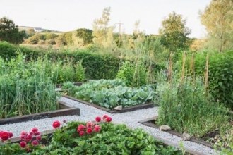 Constantine’s magical garden