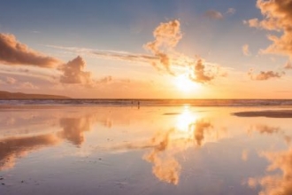 Calendar fundraiser for Cornish wildlife