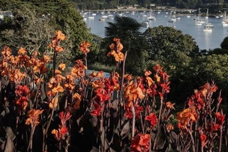 Three seasons of Cornish colour