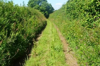 High Praze for WI hedge competition