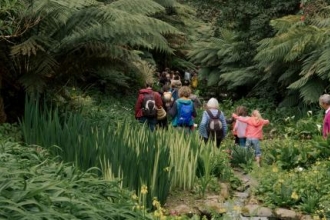 Inspired by wildlife at Trebah