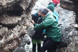 Taking rockpooling to extremes