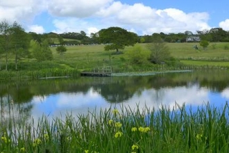 Lethytep – a 52 acre wildlife haven