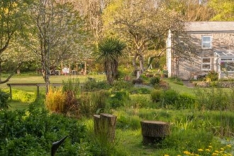 Saxophone in the garden and all that jazz