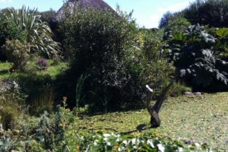 Back to nature with Trust gardens finale