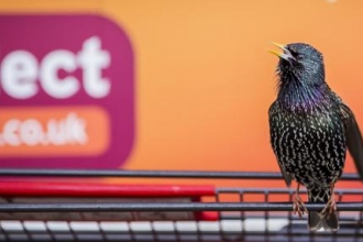 Trust photo group member wins national wildlife photography award