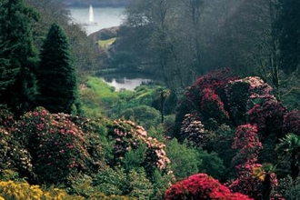 Celebrate Cornwall’s wildlife with the Trust