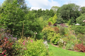 a vista of greenery - shrubs and flowers at playing place